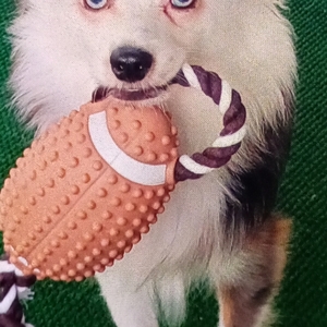 Fundraising Page: Jamie Baber